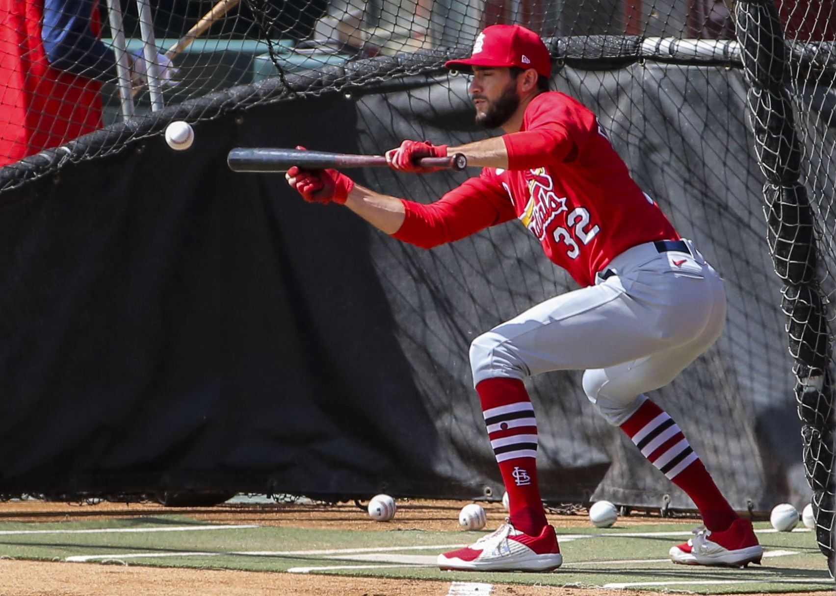 Cardinals hold a team workout ahead of opening day